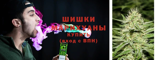 гашиш Богданович