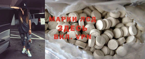 гашиш Богданович