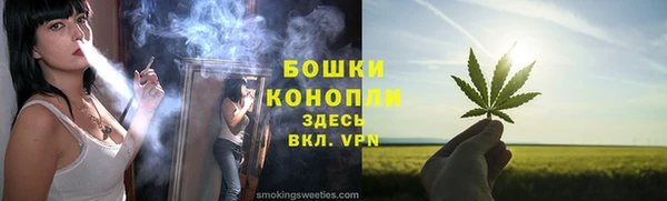 гашиш Богданович