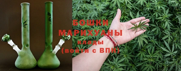 гашиш Богданович
