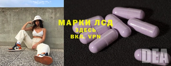 гашиш Богданович